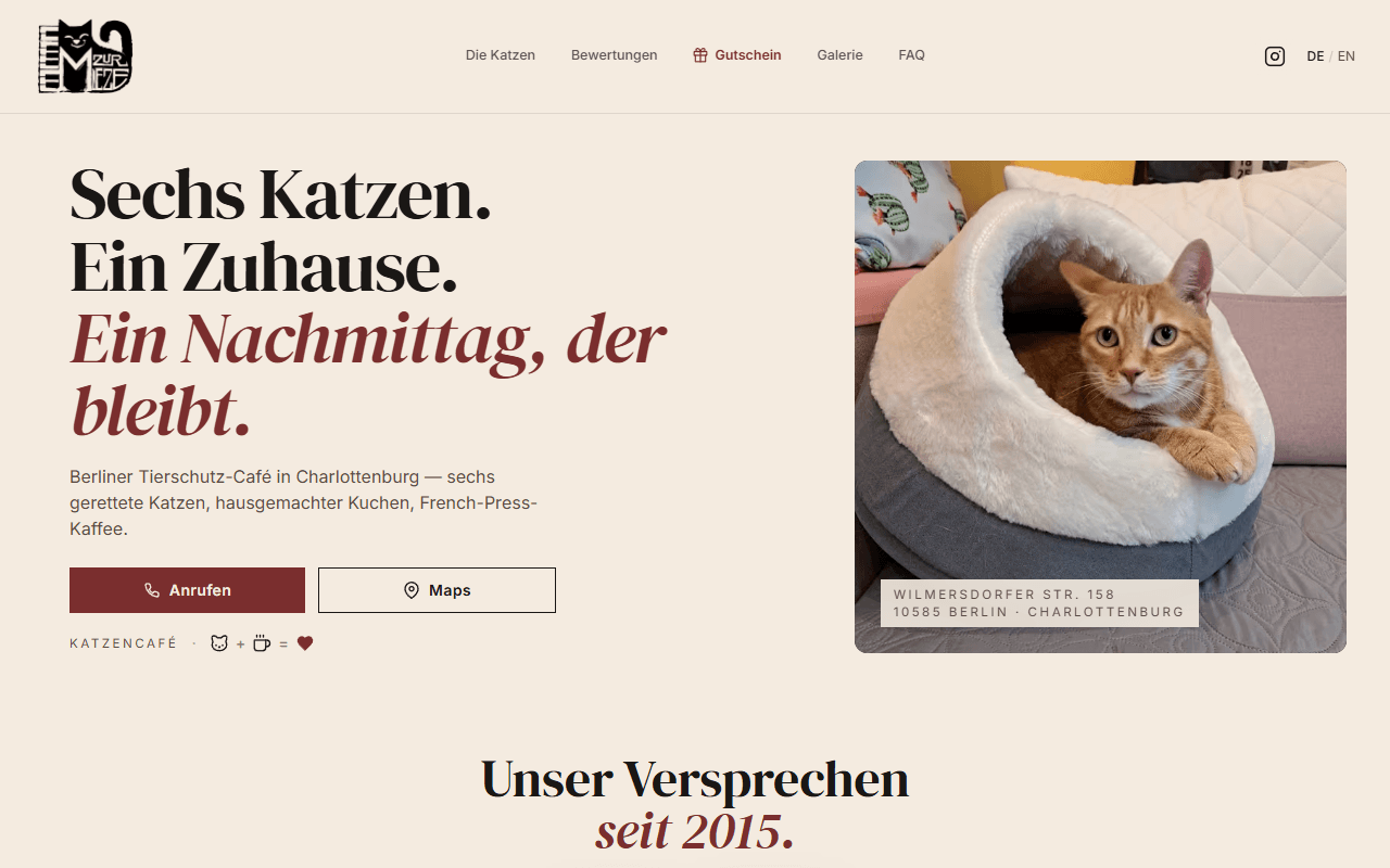 Startseite von zur-mieze.de: Katzencafé in Berlin-Charlottenburg mit dem Statement Sechs Katzen. Ein Zuhause.